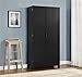 Ameriwood Home Carver 64 Storage Cabinet, Black