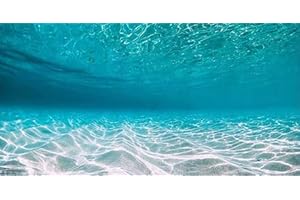 Dtekoj 48X20IN Natural Undersea Aquarium Background, Undersea Beach Fish Tank Background, with 8 EVA Double-Sided Tape