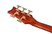 Schecter Stiletto Studio-5 Fretless Electric Bass (5 String, Honey Satin)