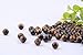 Natural Stone Beads 100pcs 10mm Tiger Eye Round Genuine Real Stone Beading Loose Gemstone Hole Size 1mm DIY Smooth Beads for Bracelet Necklace Earrings Jewelry Making (Tiger Eye, 10mm)