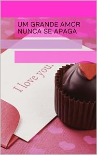 Livro Um grande amor nunca se apaga (365 dias Livro 1)