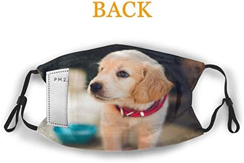 A $10.99 air filter mask for face protection.