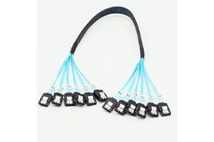 YIWENTEC High Speed 6Gbps Sata 3 iii Cable SAS Cable for Server (6 SATA, 0.5M)