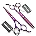 6.0 Inches Hair Cutting Scissors Set with Combs Lether Scissors Case,Hair cutting shears Hair Thinning shears For Personal and Professional (Voilet)