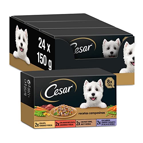 Multipack von feuchten Lebensmittelwannen in Salsa, Auswahl von Bauernrezepten (Pack 3 x 8 Tarrin x 150g)