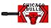 Aminco NBA Chicago Bulls Soft Luggage Tag