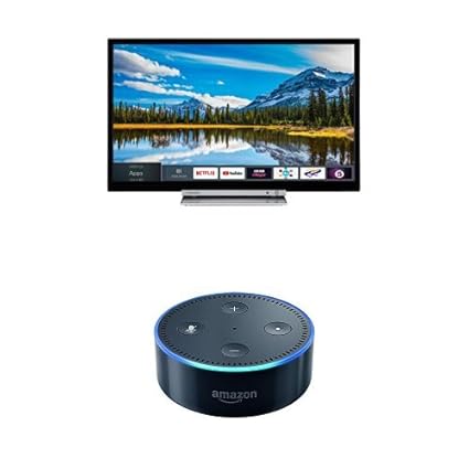 sx check&update sx check&update