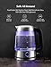 Electric Kettle Glass Tea Kettle (BPA free), Strong Borosilicate Glass, Rapid Hot Water Heater Kettle with Dual LED Indicator System, British Strix for Boil Dry Protection and Auto Shut off, Phonect