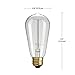 Globe Electric 01321 60W Vintage Edison S60 Squirrel Cage Incandescent Filament Light Bulb, E26 Base, 220 Lumens, 2200 Kelvin, Edison Bulbs, Vintage Light Bulbs, E26 Light Bulb, Home Improvement