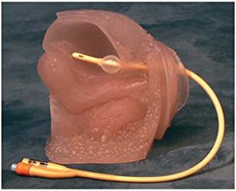 Female Catheter Model