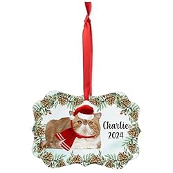 Bicolor Exotic Shorthair Cat Christmas Ornament