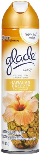 Hawaiian Breeze Air Freshener Can Safe stash diversion hide cash box Jewelry