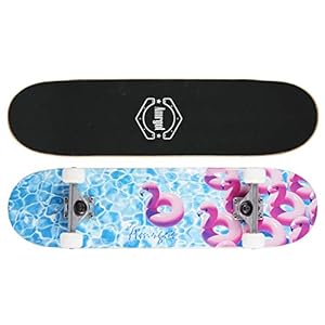 Amrgot Skateboards for Beginners,31 * 8 inches Complete Skateboards for Kids,Boys,Girls and Adults,7 Layer Maple Wood…