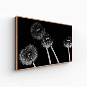 Canvas Wall Art for Living Room, Bedroom Monochrome Plants Framed Canvas Prints for Home Decoration Ready to Hang - 16x24 inches