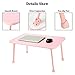 Large Bed Tray NNEWVANTE Multifunction Laptop Desk Lap Desk Foldable Portable Standing Outdoor Camping Table, Breakfast Reading Tray Holder for Couch Floor for Adults/Students/Kids(Pink)