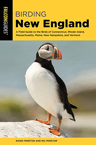 Birding New England: A Field Guide to the Birds of Connecticut, Rhode Island, Massachusetts, Maine, New Hampshire, and Vermont (Birding Series) by Randi Minetor, Nic Minetor