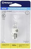 Westinghouse Lighting 0624400, 1 Count