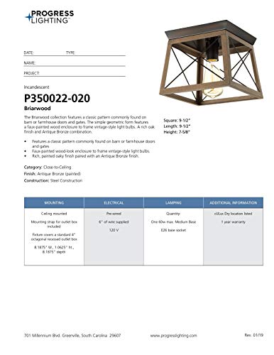 4 Progress+Lighting+P350022+020+Briarwood+One+Light