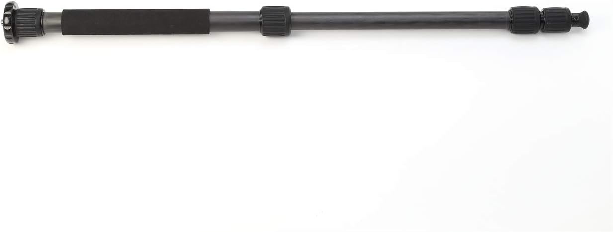 Sirui W-1204 4-Section Waterproof Carbon Fiber Tripod, 33.1lbs Capacity, 65" Maximum Height, Gray (6913) : Camera & Photo