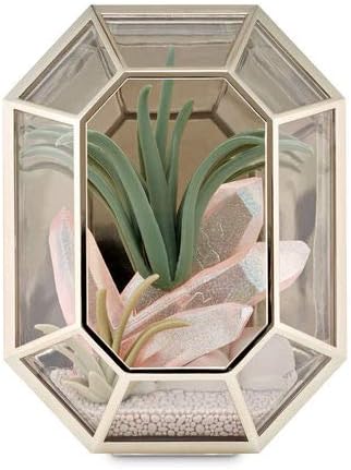 Amazon Com Bath And Body Works Wallflowers Fragrance Plug Terrarium Nightlight Home Kitchen
