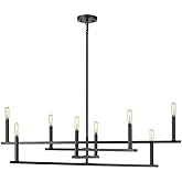 Acclaim Lighting Hale - Black 8-Light Chandelier in Transitional Style -Traditional Installation