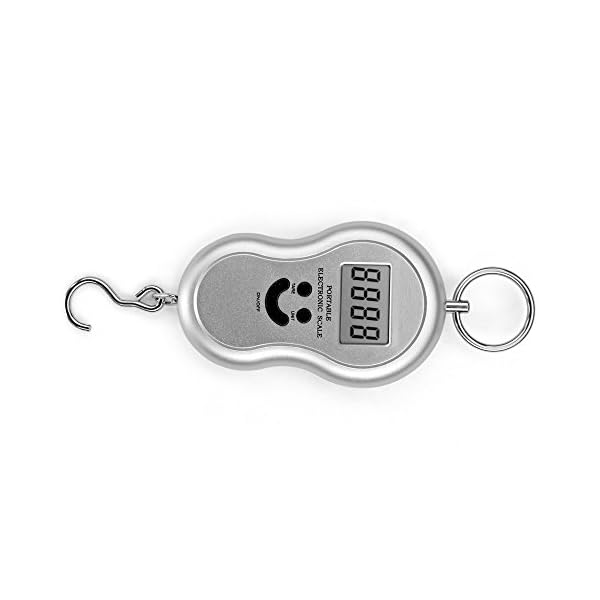 Flexzion-Digital-Hanging-Hook-Scale-88lb40kg-Electronic-Luggage-Fishing-Postal-Balance-Weight-Weighing-Pocket-Style-Tool-Portable-with-LCD-Display