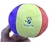PinPals Developmental Bowling Game Set for One Year Old Boys and Girls