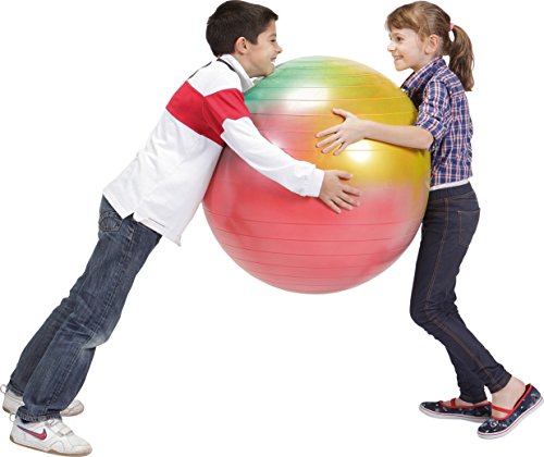 Gymnic Arte Plus Burst-Resistant Exercise Ball (65 cm)