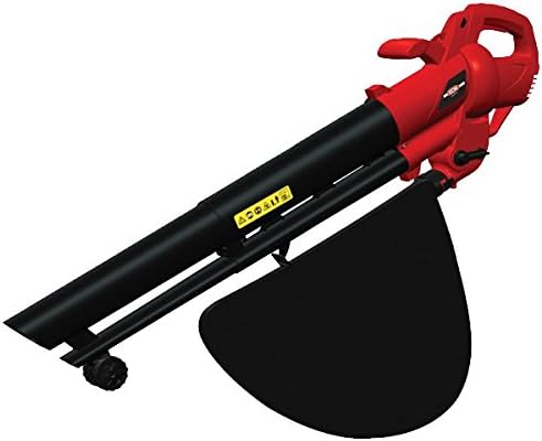 aspirateur souffleur