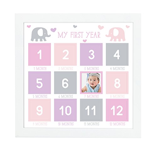 Tiny Ideas First Year Keepsake Photo Frame, First Year by Month, Baby
