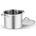 Cook N Home 6.5 Quart Stockpot with Lid, Stainless Steel