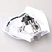 GOOFIT Universal 12V 35W Motorcycle Supermoto Halogen Headlight Indicator Fairing Lampshade for Dirt Bike Motor White