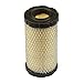 Briggs & Stratton 793569 Round Air Filter Cartridge primary