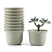 T4U 3.5 Inch Plastic Round Succulent Plant Pot/Cactus Plant Pot Flower Pot/Container/Planter Package 1 Pack of 10