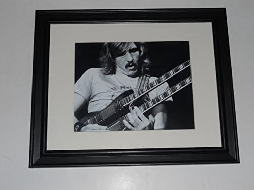 Large Framed Joe Walsh in The Eagles 1976 Picture in Frame 24" x 20" James Gang