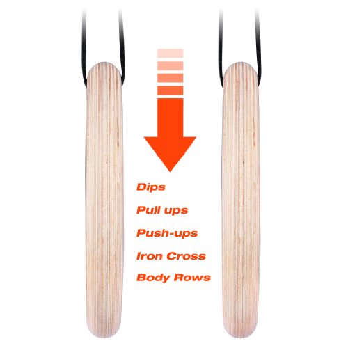 image for KYLIN SPORT Gymnastic Rings with Adjustable Straps Heavy Duty Exercise