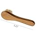 Face Brush Set for Deep Cleaning - Includes Complexion Facial Cleanser Brush for Washing and Facial Scrub Brush for Use on Dry Skin. Wet and Dry Brushing (1)