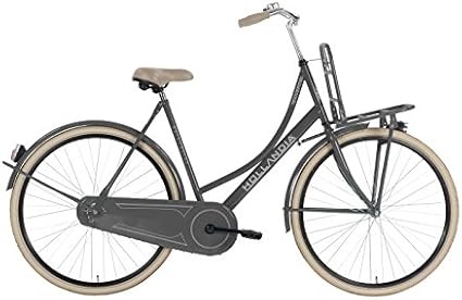 hollandia beach cruiser