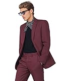 SBW Men's Men's Regular Fit Dress Shirt & 2PCS Suit