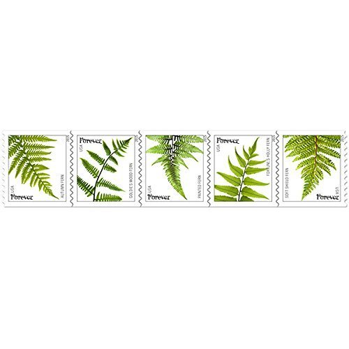USPS Ferns Forever Stamps - 20 Stamps
