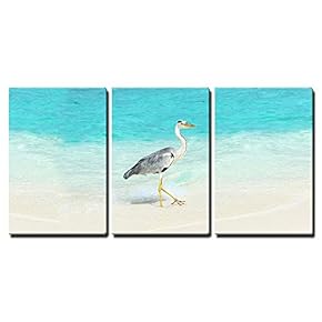 Heron at The Beach on Maldivian Island x3 Panels