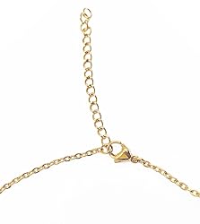 Aoloshow Lily Name Necklace Personalized Custom