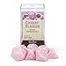 Wiz Dice Cherry Blossom Set of 7 Polyhedral Dice, Solid Pastel Millennial Pink Tabletop RPG Dice with Clear Display Box