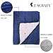 L'AGRATY Luxury Minky Sherpa Weighted Blanket for Adults (15lbs, 48