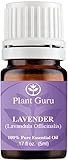Lavender Essential Oil 5 ml. 100% Pure, Undiluted, Therapeutic Grade.