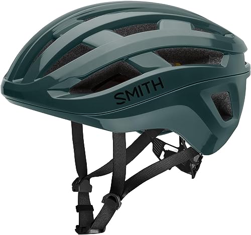 Smith Persist MIPS