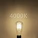 GEZEE 10W Edison Style Vintage LED Filament Light Bulb, 100W Incandescent Replacement,4000K,1000LM, E26 Medium Base Lamp, ST21(ST64) Antique Shape, Dimmable(3-Pack)