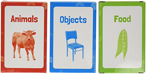 Junior Learning Noun Flash Cards