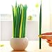 UDTEE 24Pcs Beautiful/Cute/Fashion Long Grass/Blade/Leaf Shaped Rollerball Pens