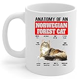 Funny Black Tortie Norwegian Forest Cat Anatomy